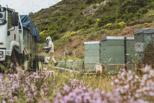 Things You Didn't Know About Bees and Beekeeping