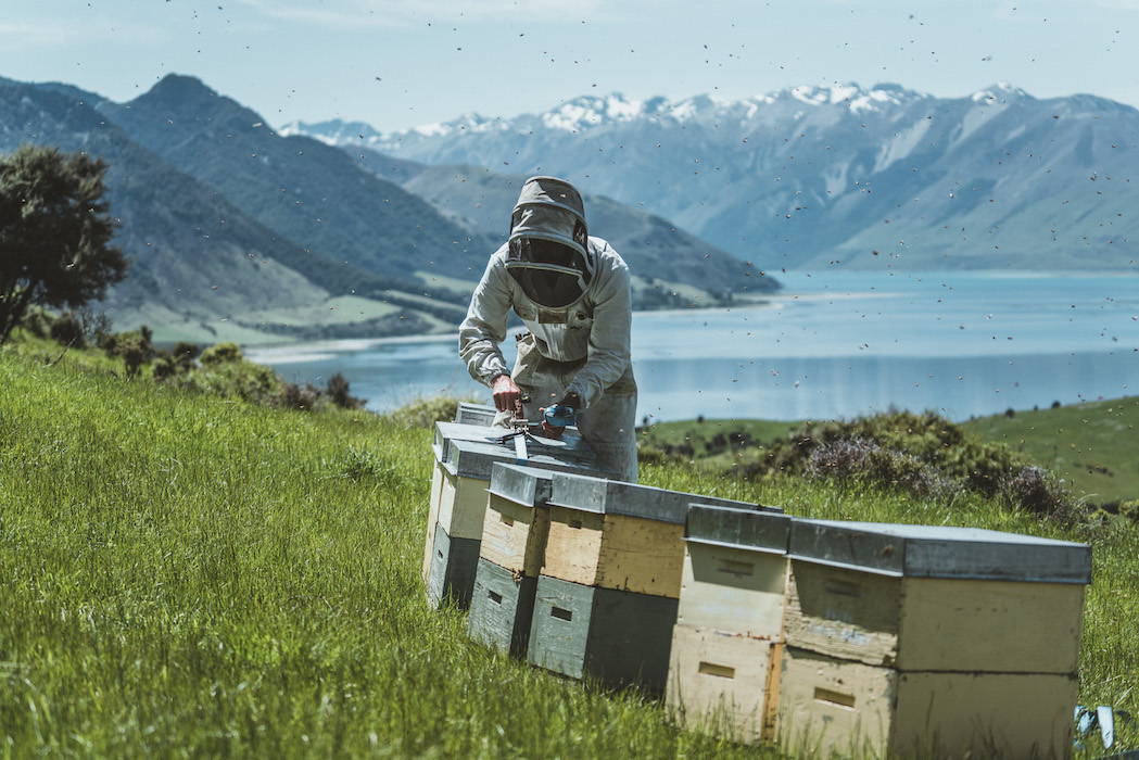 What’s The Deal With Organic Honey? — featured image for the New Zealand Honey Co. Manuka honey blog