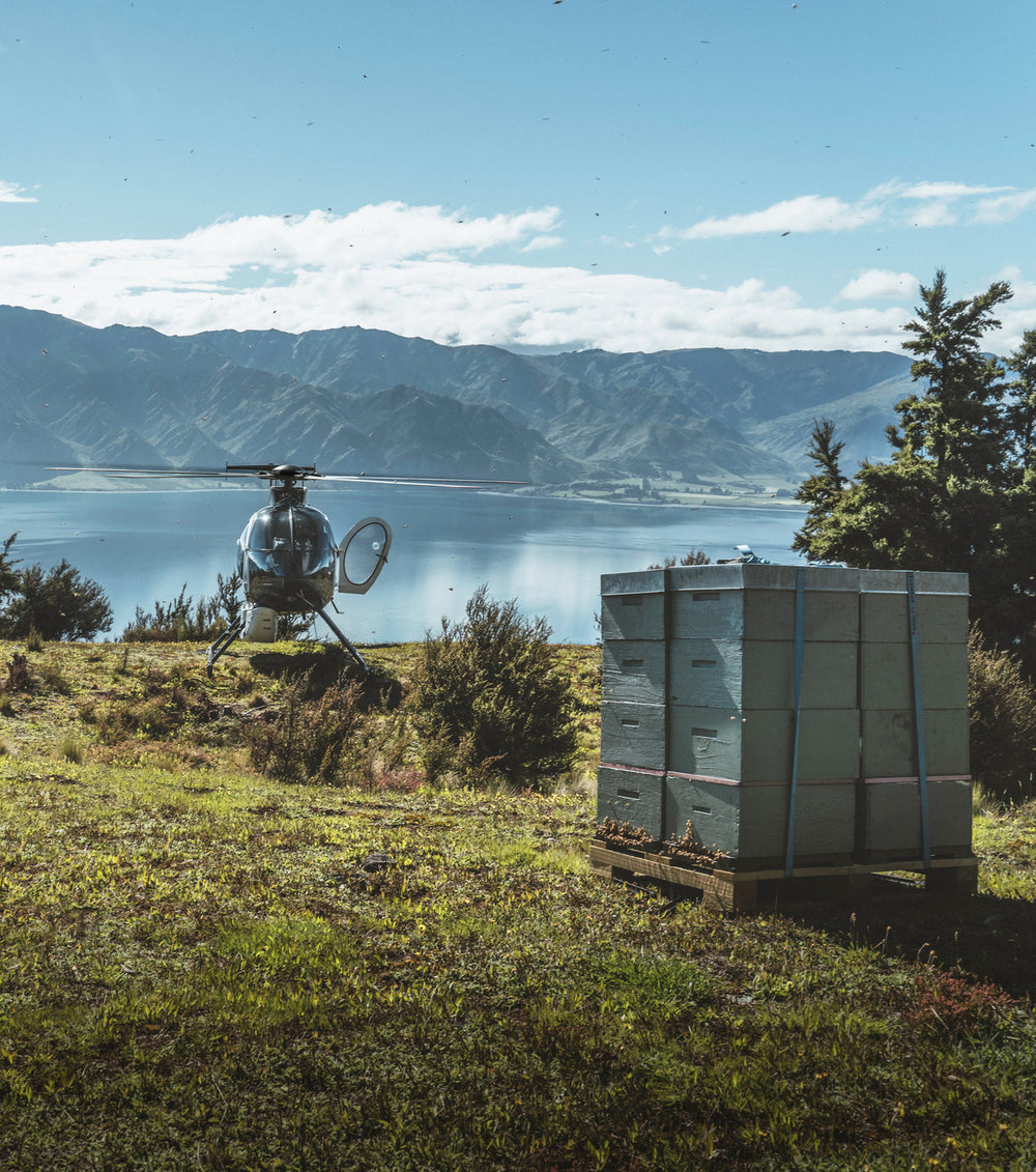 Lake Hāwea · South Island