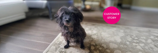 Black shaggy dog sitting on a beige carpet in a driveway with a pink circular badge reading 'CUSTOMER STORY'