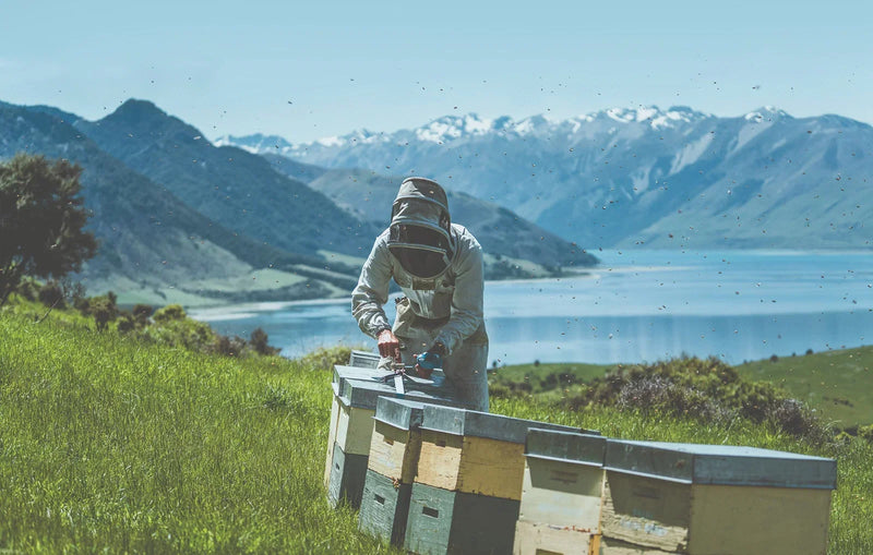 Beekeeper in protective suit tending to colorful beehives on a green hillside overlooking a turquoise mountain lake.