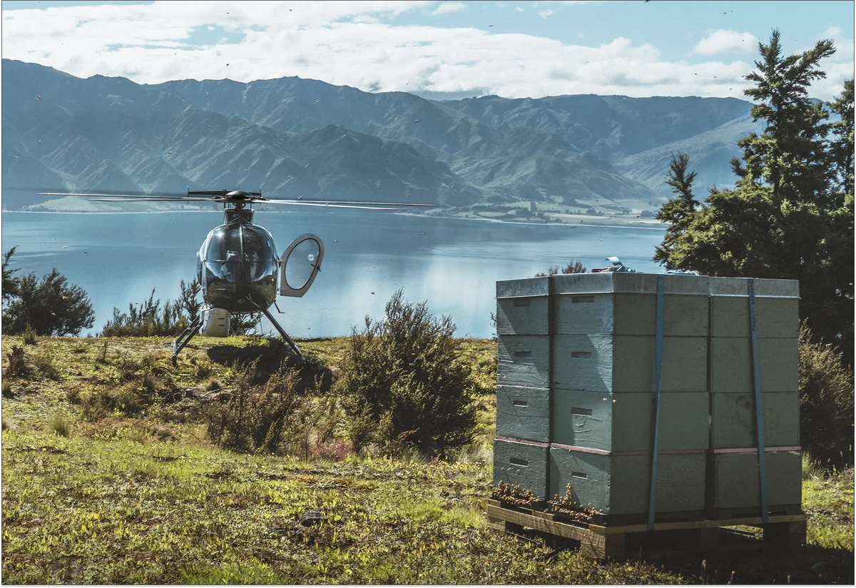 A black helicopter parked on a grassy hillside next to large green storage containers, overlooking a pristine blue mountain lake.