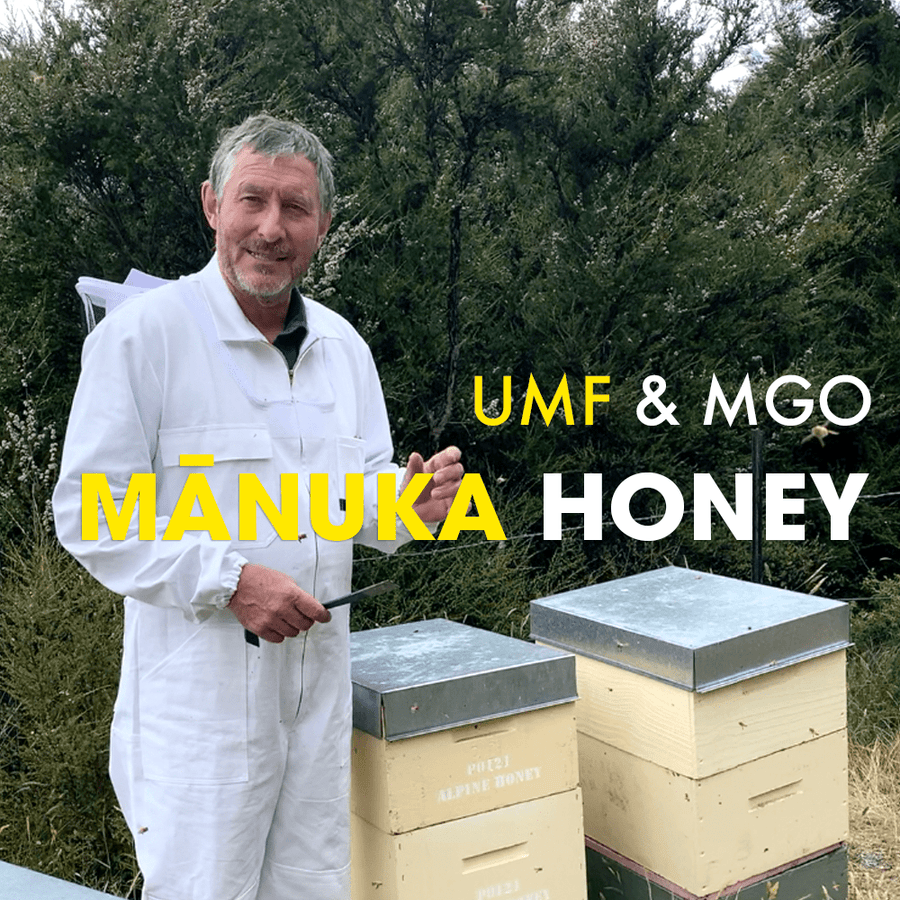 UMF vs MGO - Head Beekeeper explains what to look for when buying Manuka Honey