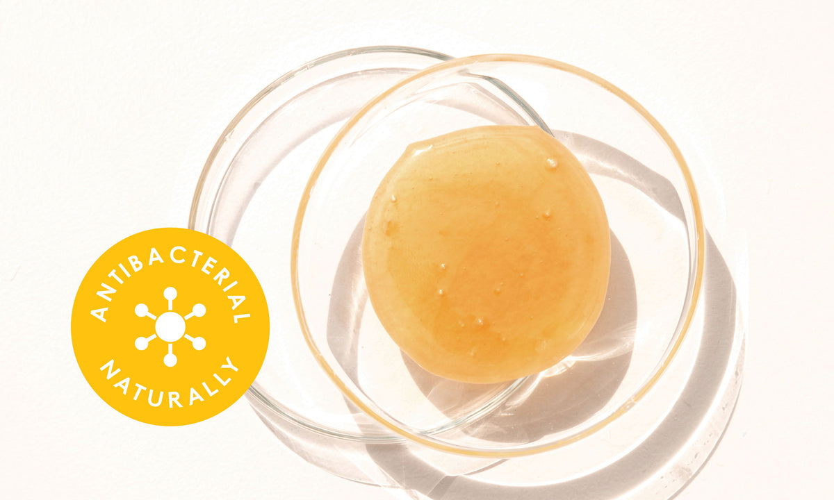 Is Honey Antibacterial? The Science Behind the Magic — featured image for the New Zealand Honey Co. Manuka honey blog