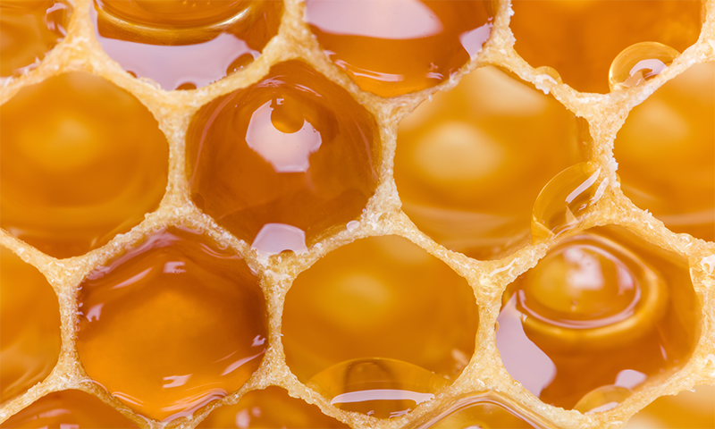 Why And How Do Bees Make Honey? (What You Need To Know) — featured image for the New Zealand Honey Co. Manuka honey blog
