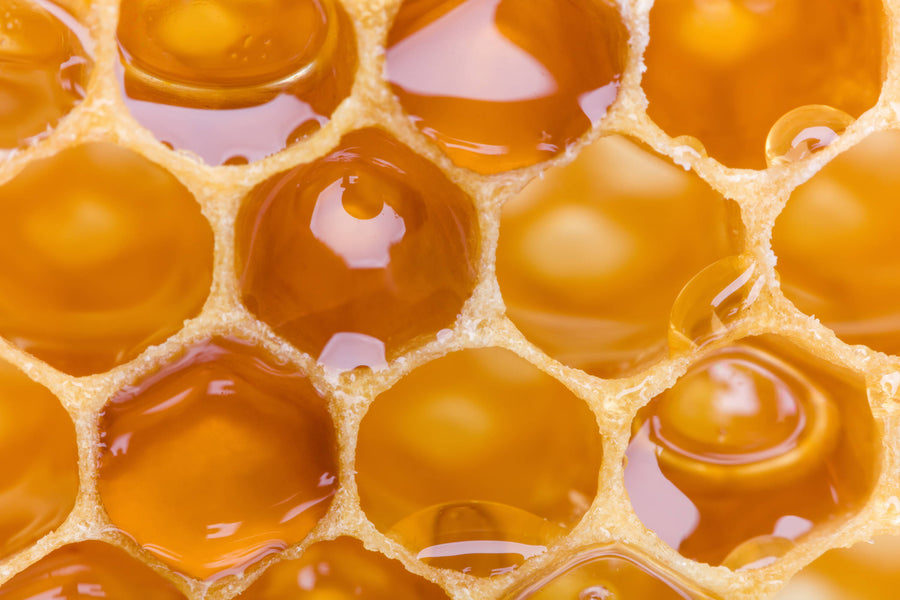 Does Honey Go Off or Expire?