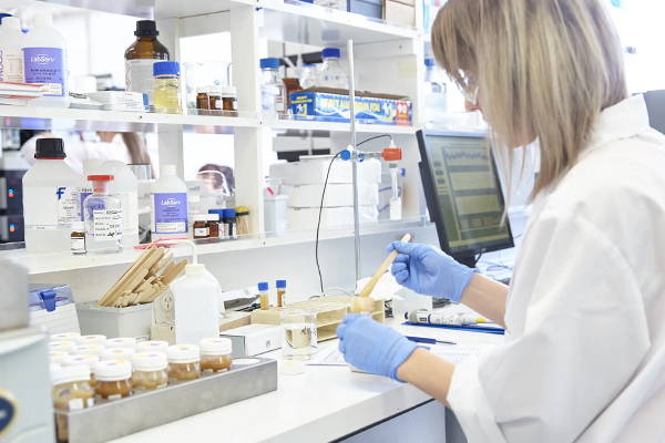 Thinking Of Buying Medical Grade Manuka Honey? Read This First…