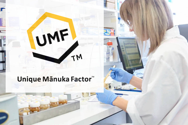 What is UMF™ in Manuka Honey? — featured image for the New Zealand Honey Co. Manuka honey blog