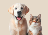 New Zealand Honey Co. Pet Manuka Honey MGO 550+ for dogs and cats — natural prebiotic and antioxidant benefits