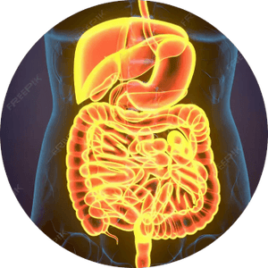Gut Health Power