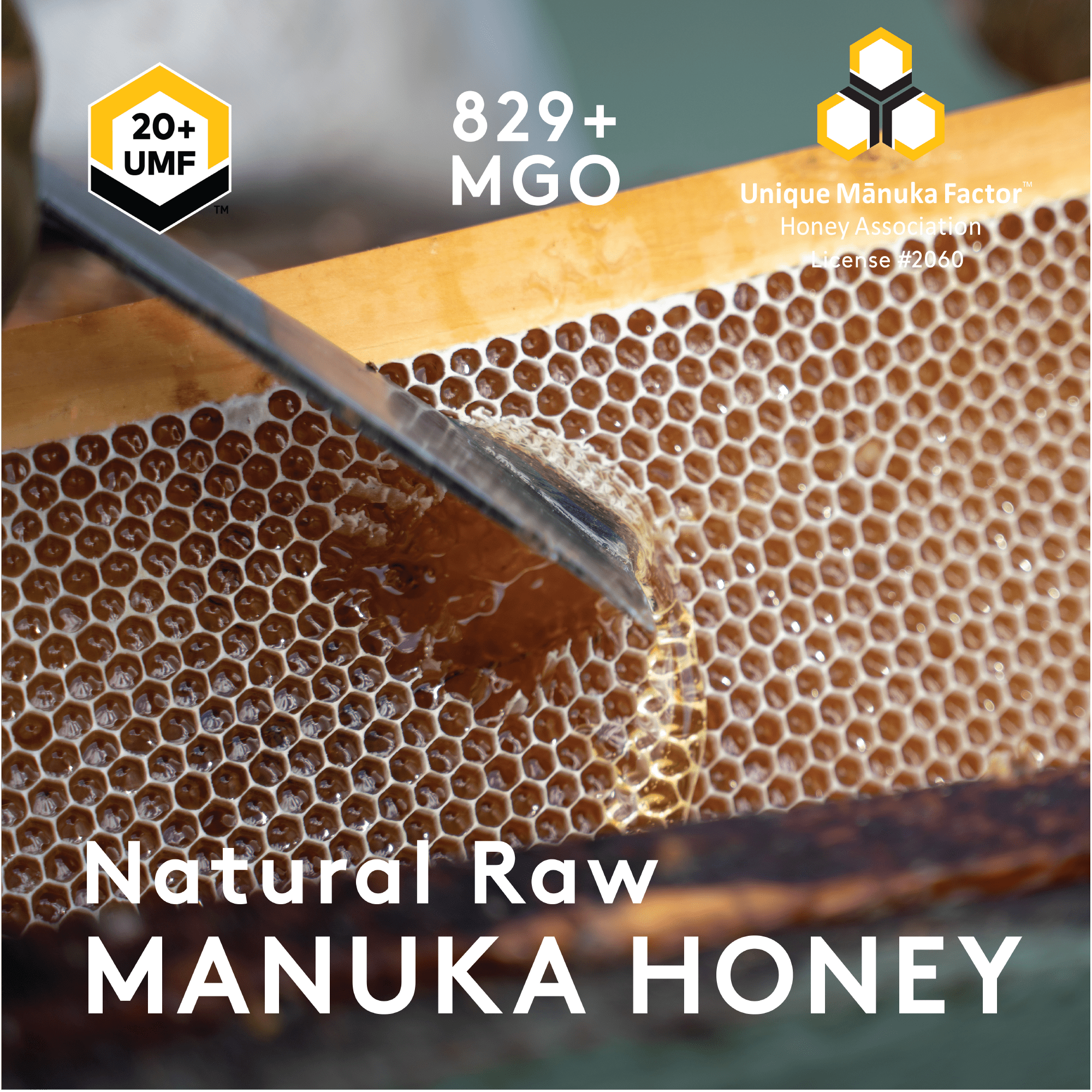 Manuka Honey UMF™ 20+ | MGO 829+