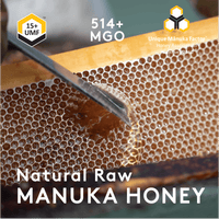 Manuka Honey UMF 15+ Jar | MGO 514+