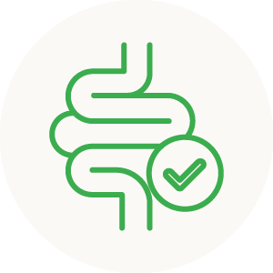 Digestive Balance