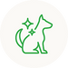 Healthy skin & coat