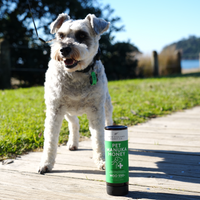 Manuka Honey for Dogs & Cats | MGO 550+ Pet Honey (500g)