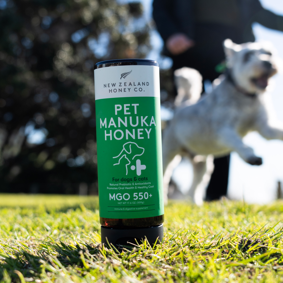 Manuka Honey for Dogs & Cats | MGO 550+ Pet Honey (500g)