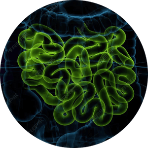 Serious Bio-Activity