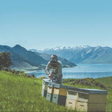 umf30-pdp-provenance-beekeeper.jpg
